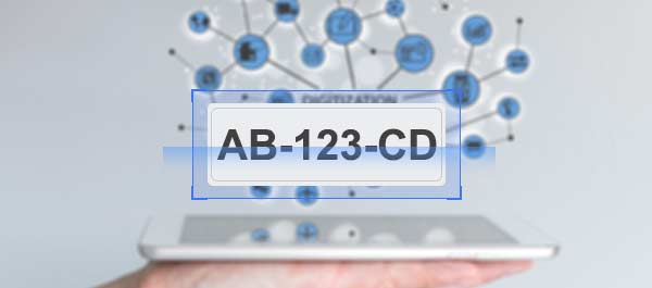 L'utilisateur transmet les images ou vidéos collectées par le dispositif frontal au serveur intégré avec le SDK de reconnaissance des plaques d'immatriculation pour identification.